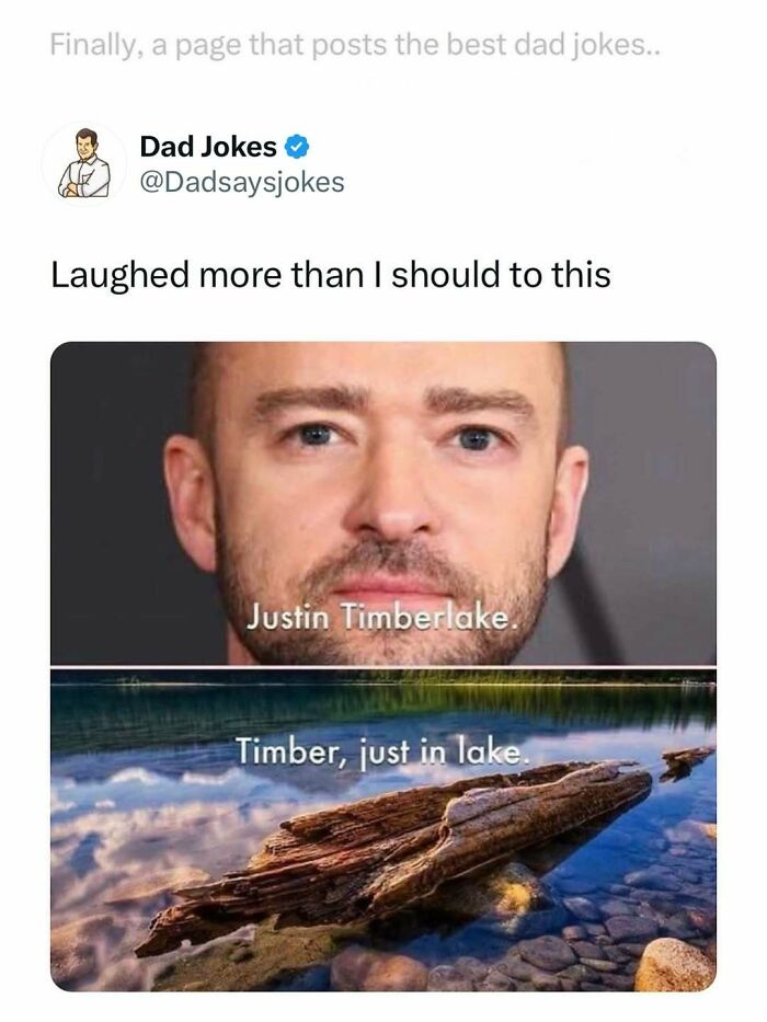 Screenshot of a dad jokes tweet showing a pun on Justin Timberlake with a log in a lake, highlighting funny dad jokes.