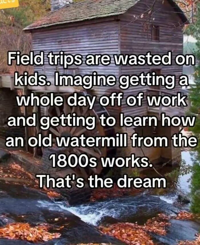 Old watermill by a river with a meme about field trips and learning, featuring hilarious memes from Know Your Meme.