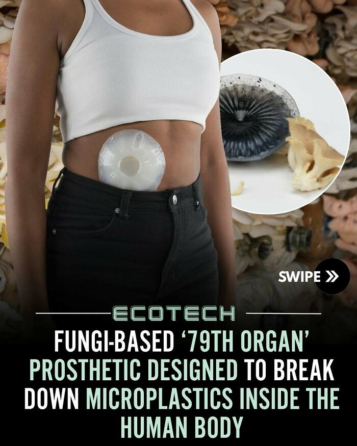 Person wearing a fungi-based prosthetic designed to break down microplastics inside the human body for eco-friendly health.