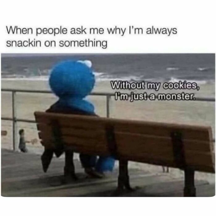 Cookie Monster sitting alone on a bench at the beach with a meme about snacking and being a monster without cookies.