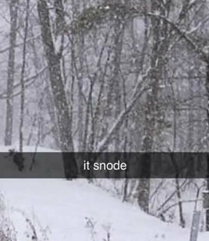 Snow-covered trees with falling snow captioned with a humorous meme phrase from Know Your Meme collection.