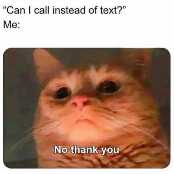 Close-up of a cat with a reluctant expression, captioned meme about texting and calling, fitting hilarious memes theme.