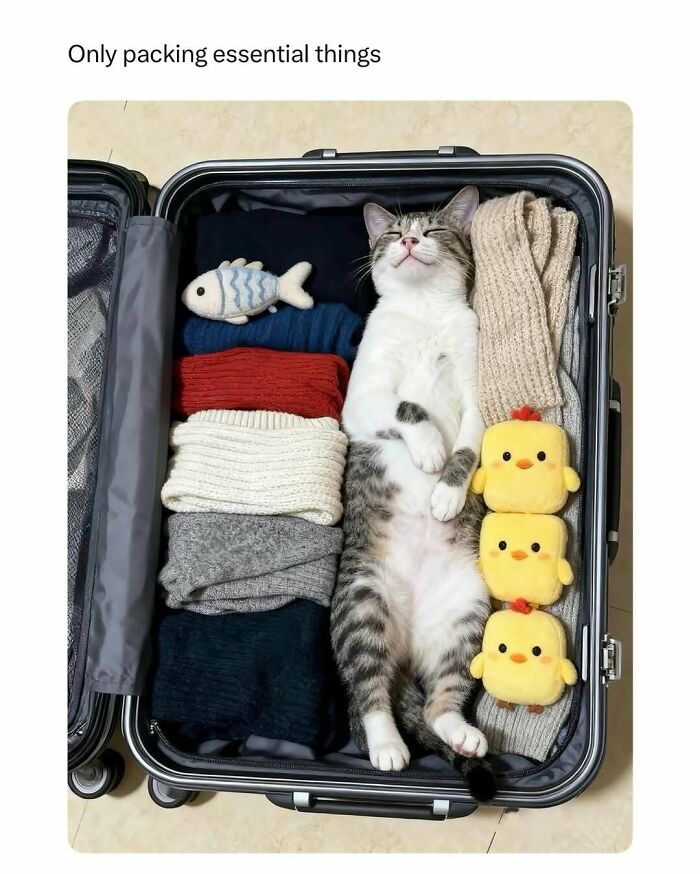 A content cat lying peacefully inside a suitcase packed with clothes and plush toys, showcasing funny and wholesome animals.