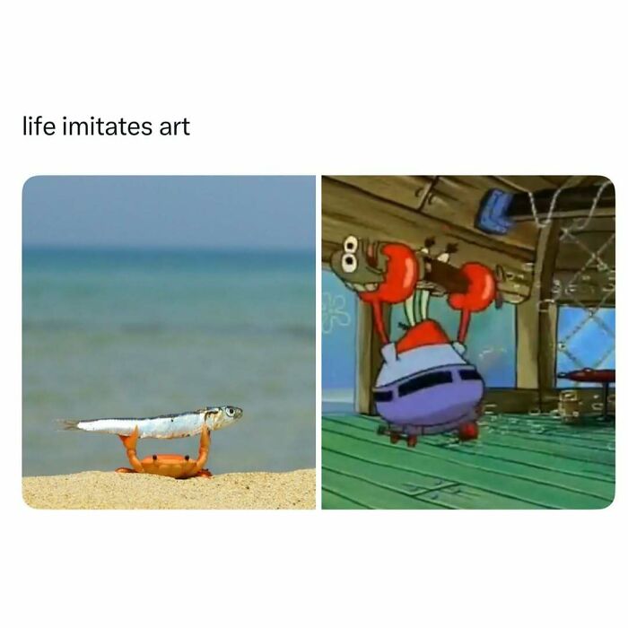 Crab holding a fish on the beach mimics a cartoon crab holding a fish in a funny and wholesome animal post.