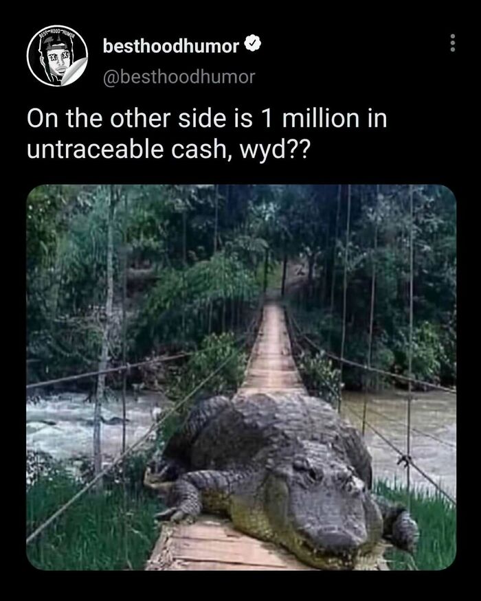 Tweet from besthoodhumor with a meme showing a large crocodile blocking a narrow bridge in a forest setting funny memes.