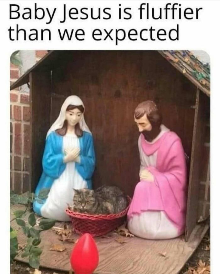 Nativity scene with baby Jesus replaced by a fluffy cat in a basket, featuring classic dad jokes humor.
