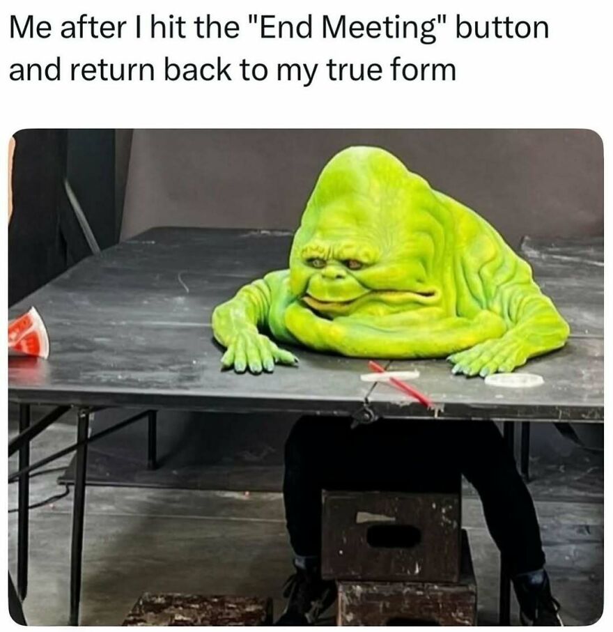 Person wearing a large green slime costume sitting at a table, meme about returning to true form after virtual meeting ends, therapist memes.