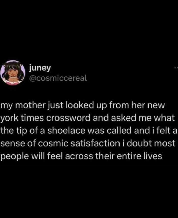 Tweet text about feeling cosmic satisfaction when explaining the tip of a shoelace, featured in know your meme content.