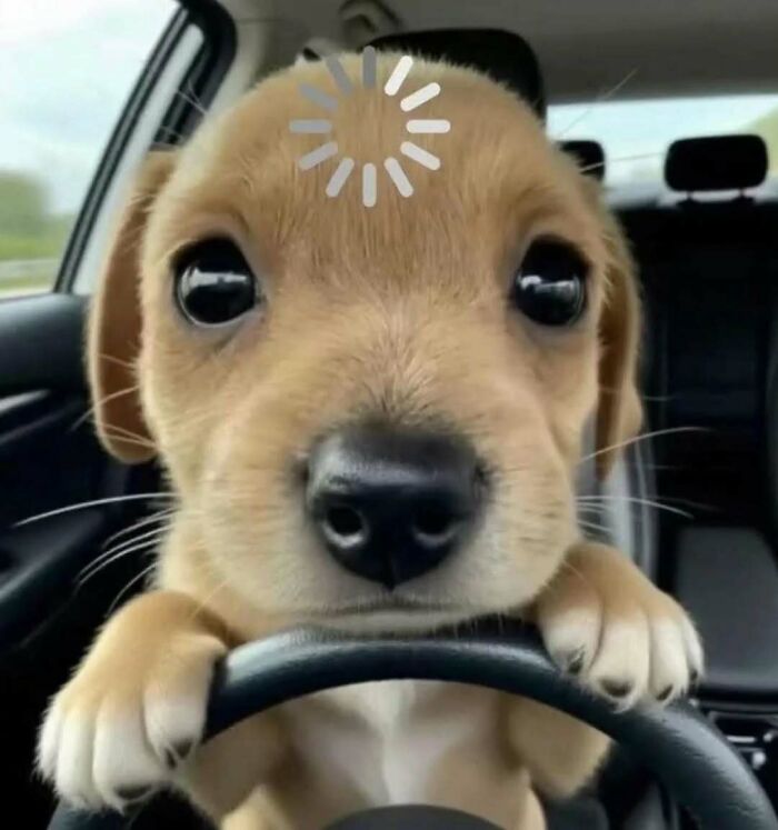 Adorable puppy with big eyes gripping steering wheel inside car, funny and cute pets deserving best snacks for cuteness