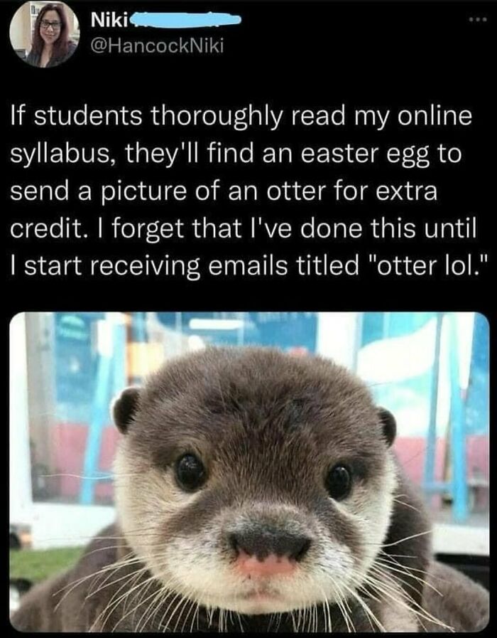 Screenshot of a social media post about students sending otter pictures, accompanied by a close-up photo of an otter.