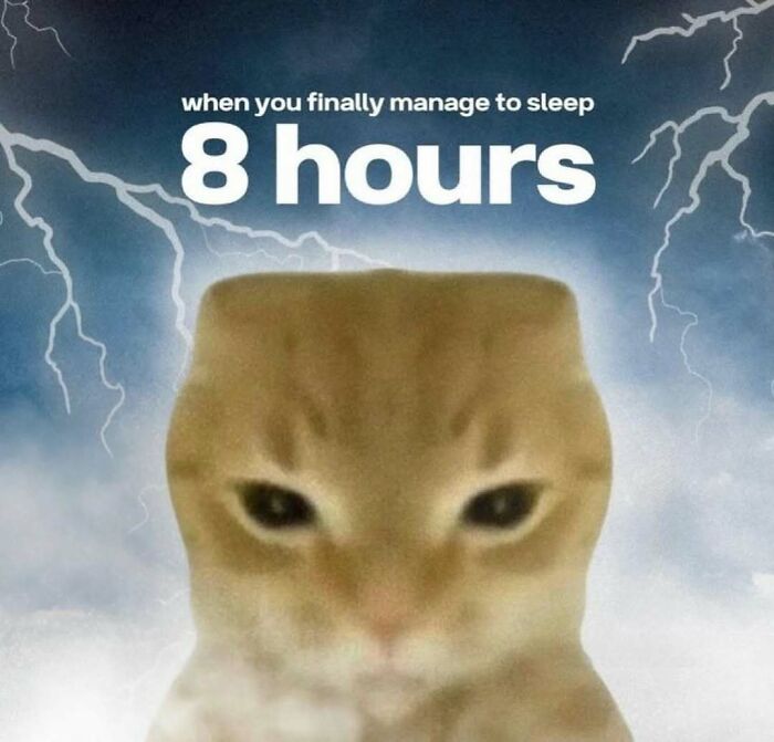 Blurred close-up of a cat with lightning in the background, illustrating a humorous animal meme about sleep and rest.