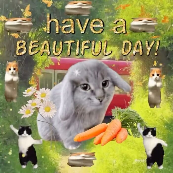 Cute animal meme with a bunny holding carrots surrounded by dancing cats and hamsters, promoting lighthearted animal memes.