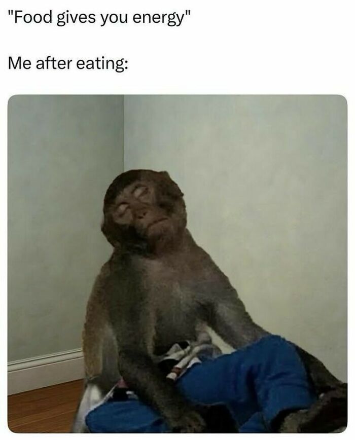Monkey slumped over looking exhausted after eating, a humorous meme illustrating reality with humor and relatable fatigue.