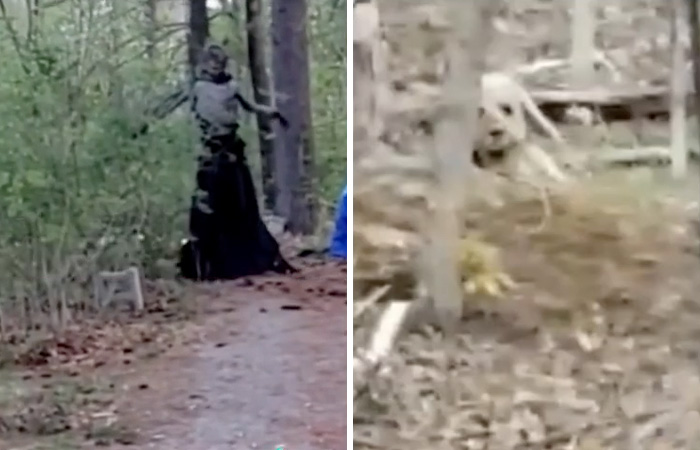 Two eerie figures in a forest setting, illustrating chilling urban legends that blur fact and folklore reality.