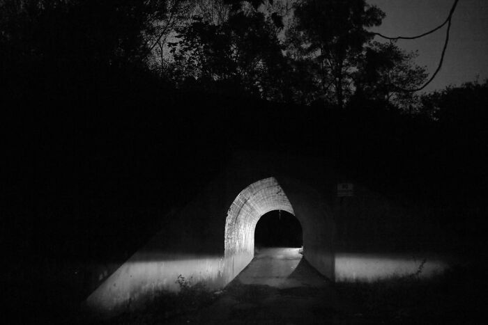Dark ominous tunnel at night surrounded by trees, evoking chilling urban legends and eerie atmosphere.
