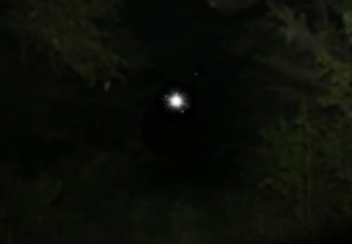 Bright light shining through a dark forest, evoking a chilling urban legend atmosphere in a mysterious setting.