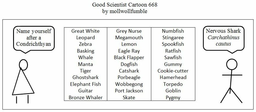 This Cartoonist Explores The Absurdly Thin Line Between Genius And Stupidity. An Interview With The Cartoonist. 11 Cartoons.