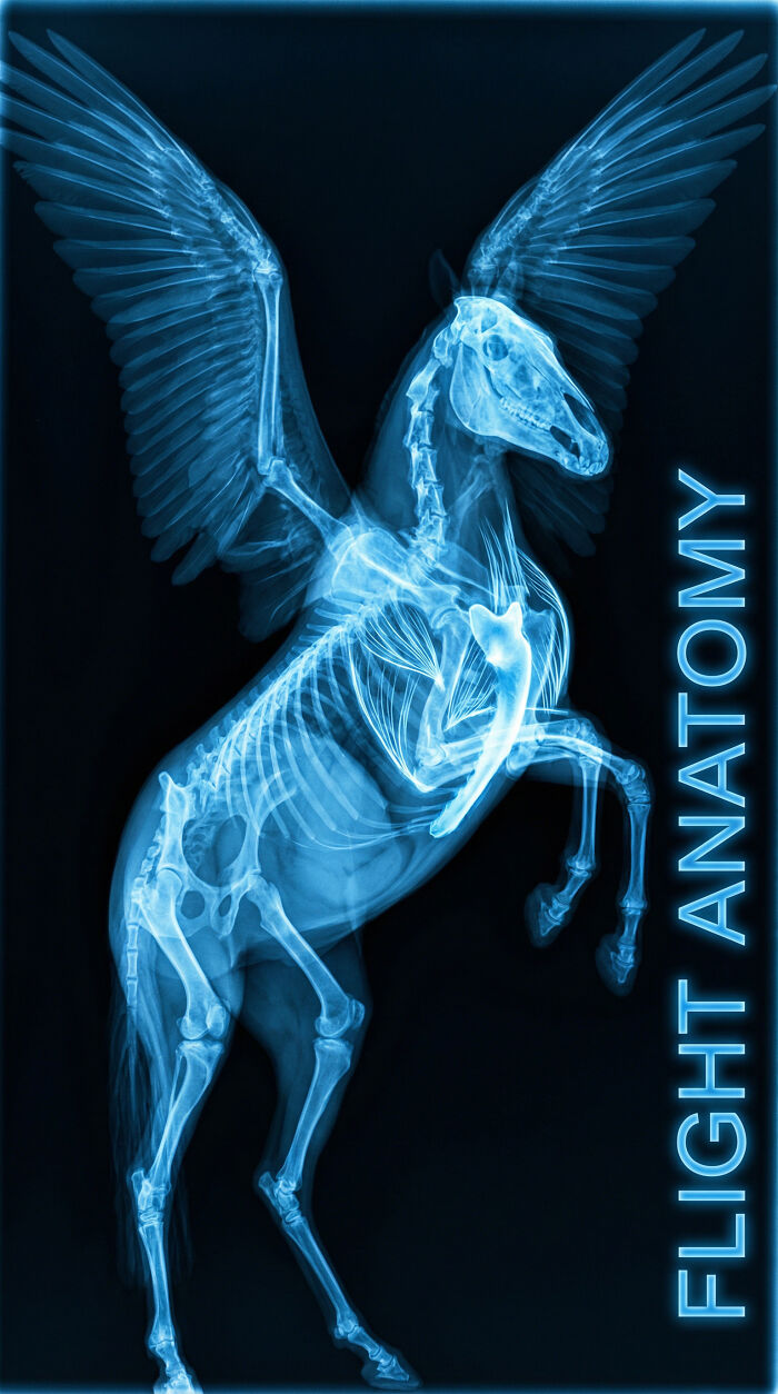 The Problem With Pegasus