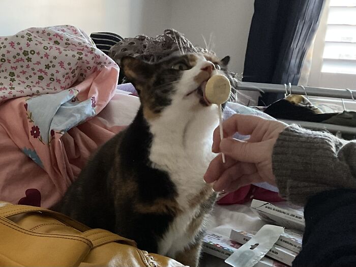 Bushka’s After Shopping Treat For Being Gorgeous