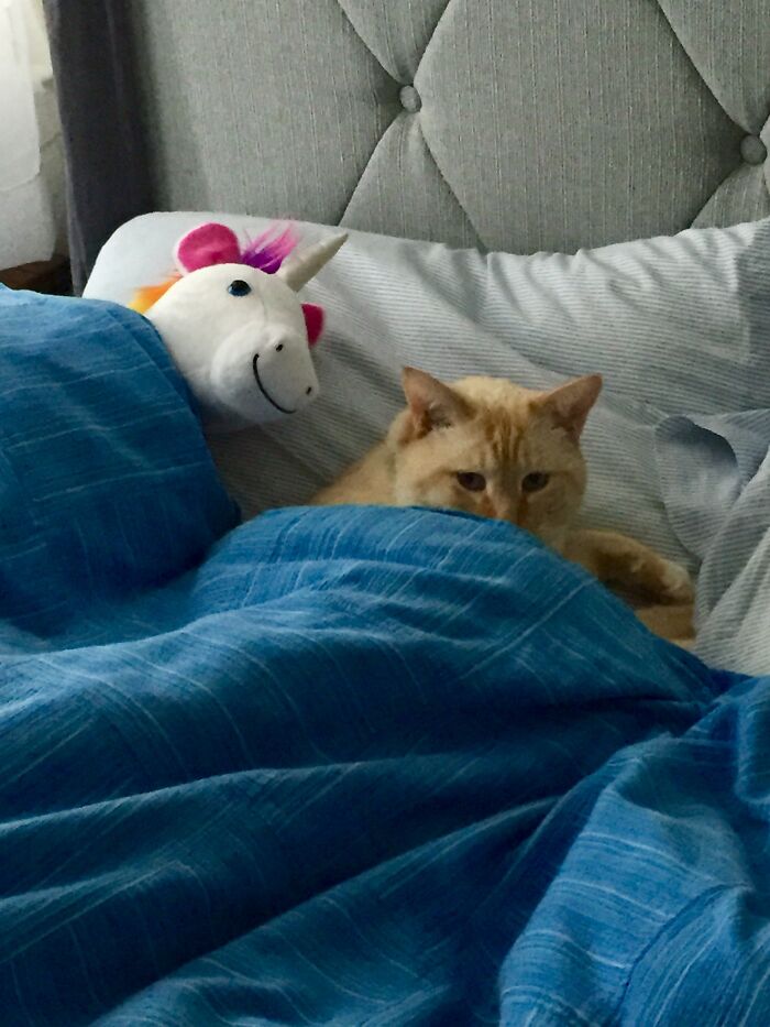 Some Things I Just Don’t Need To See