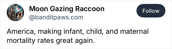 Tweet from user Moon Gazing Raccoon criticizing rising infant and maternal mortality rates in America with a dark humor tone.