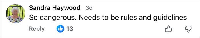 Facebook comment by Sandra Haywood expressing concern about danger and calling for rules and guidelines.