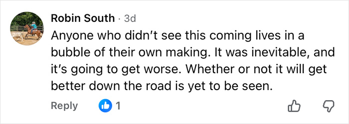 Comment from Robin South discussing worsening situation and uncertain future related to ChatGPT accused of turning son against mother.