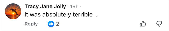 Comment on social media post reading it was absolutely terrible with two likes, related to Wizard Of Oz performance outrage.