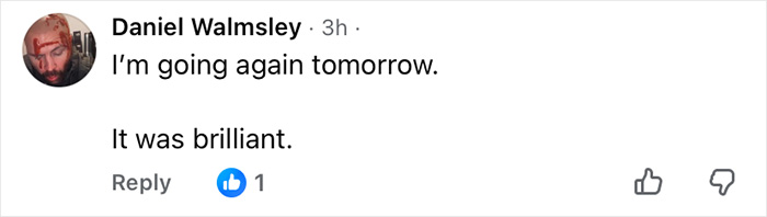 Comment by Daniel Walmsley praising the Wizard Of Oz performance despite audience outrage and walkouts.