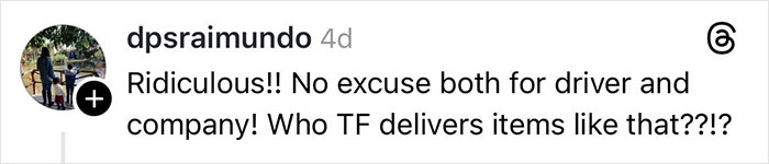 Comment criticizing delivery driver and company for mishandling Christmas gift, expressing frustration with broken item delivery.