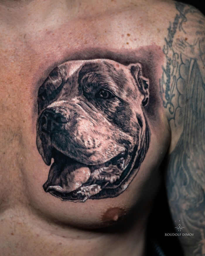 Realistic dog portrait tattoo on chest, a beautiful tribute turning memories of pets into lasting tattoos.