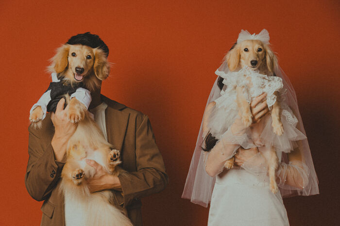 Image By Jaden Lim Of Jadencatalog Taken In Malaysia