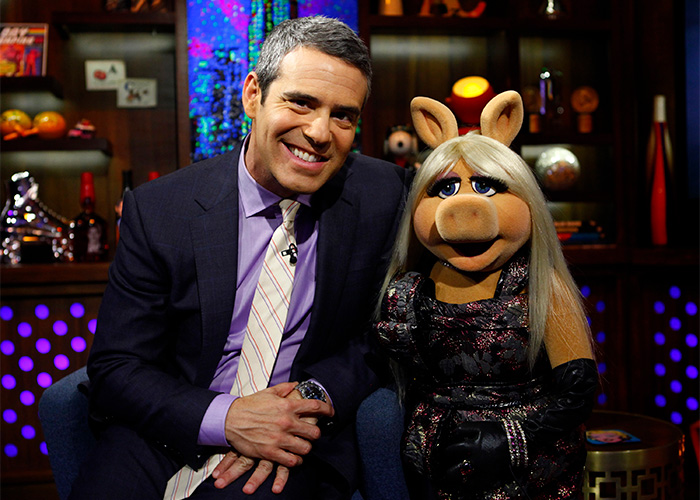 TV host sitting next to Miss Piggy, a rare pop culture shot capturing an iconic Muppet character in a studio setting.