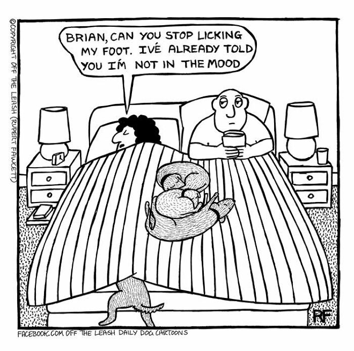 Couple in bed with dog licking foot and another dog curled up, depicting living with dogs humor in Off The Leash comic style.