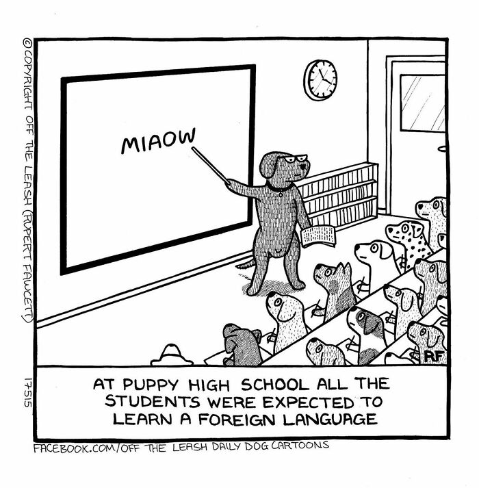 Cartoon of dogs in a classroom where a dog teaches foreign language, illustrating living with dogs humor from Off The Leash comics.