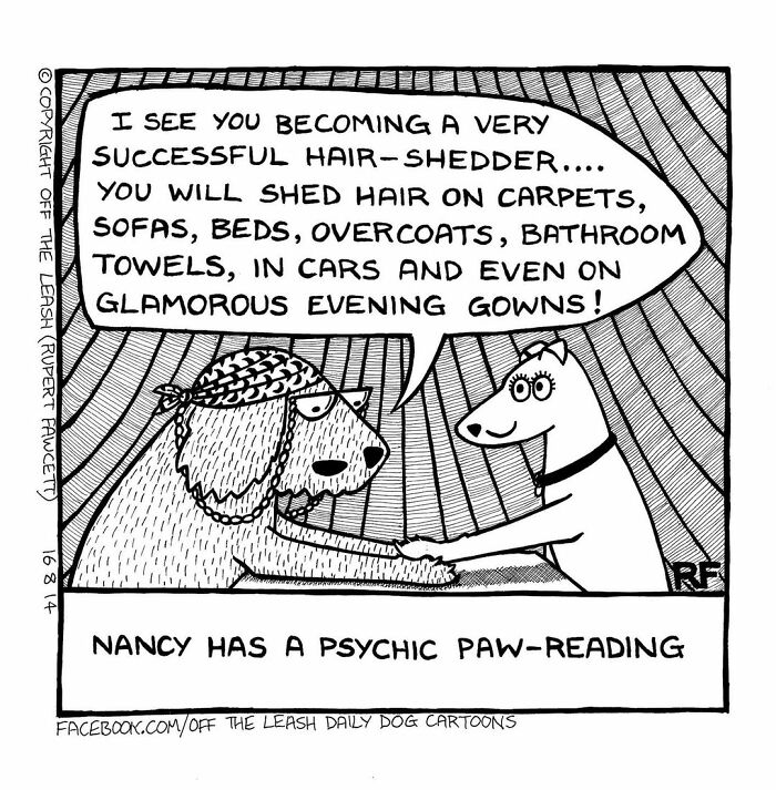 Comic showing two dogs paw-reading, illustrating life and humor in living with dogs in Off The Leash comics.