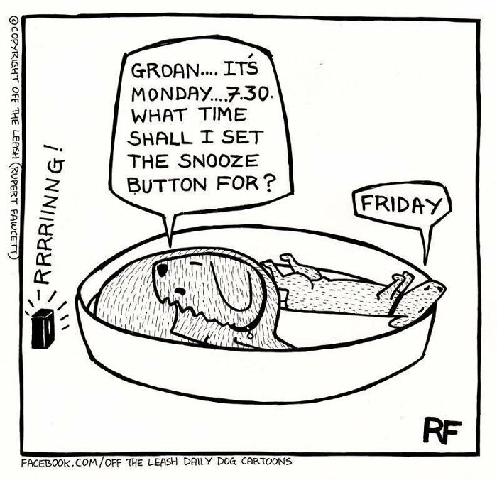 A comic of two dogs in a bed, one asking about snooze times, capturing the humor of living with dogs.