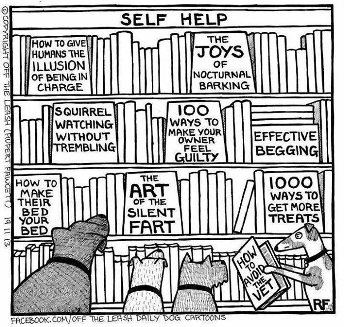 Cartoon showing dogs reading self-help books about behavior and tricks, illustrating living with dogs humorously.