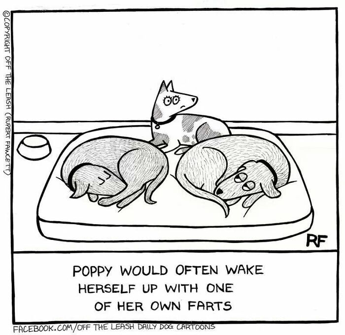 Comic about living with dogs showing a dog waking herself with her own fart on a shared dog bed.