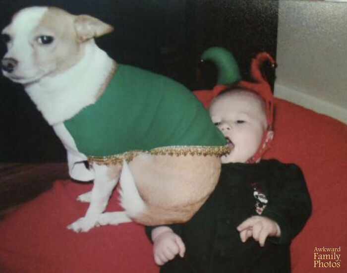 A dog in a green outfit sitting on a baby wearing reindeer antlers in a hilariously awkward family Christmas photo.