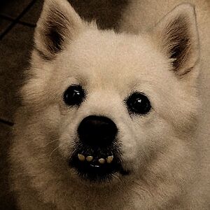 livvydoodle08 avatar