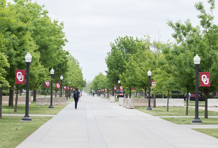 University walkway lined with trees and banners, student walking, related to essay that got trans instructor removed from university