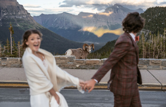 Image By Sydney Evans Of Sydney Breann Photography Taken In Glacier National Park, MT, USA