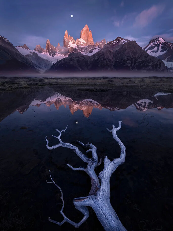 Mountain peaks glowing at dusk reflected in a lake with a fallen tree branch, best nature photography 2025 award winner.