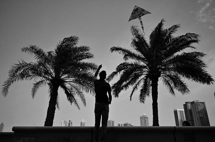 Silhouette of person flying a kite between palm trees capturing street moments that feel like magic in daily life.