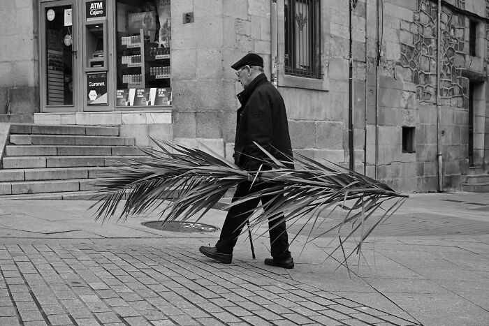Man walking on a city street carrying a large palm frond, capturing a magical street moment in daily life.