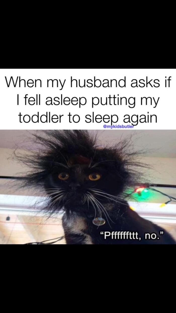 Cat with messy fur looking tired paired with a funny parenting meme about putting a toddler to sleep again.