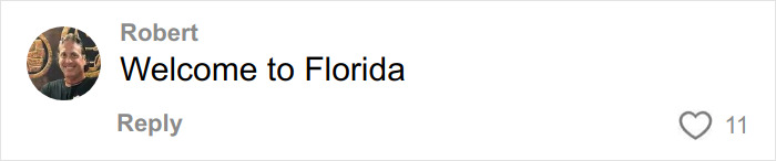 Comment saying Welcome to Florida by user Robert with a profile picture and 11 likes on a social media post about culture shocks.
