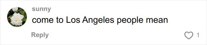 Comment from user sunny stating that people in Los Angeles are mean, relating to culture shock from moving to Florida from Canada.