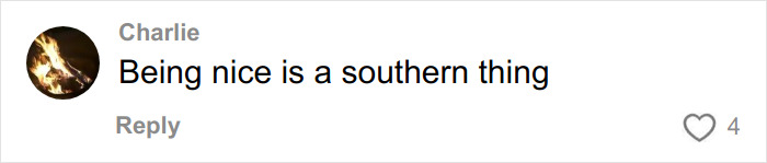 Screenshot of a social media comment saying Being nice is a southern thing, reflecting culture shocks after moving to Florida from Canada.